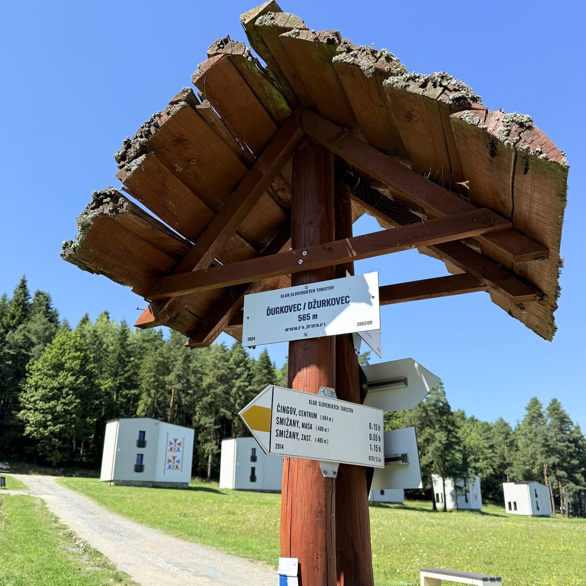 nyár 4