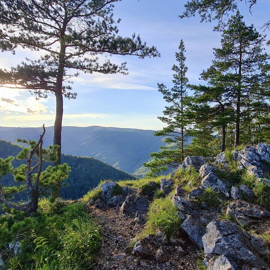 Matka Božia — fotó 2